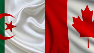 Bien que les échanges commerciaux entre le Québec et l’Algérie soient modestes, ils témoignent d’une relation en développement.