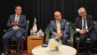 Sofiane Chaib, secrétaire d’État algérien chargé de la Communauté nationale à l’étranger